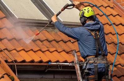 Démoussage et hydrofuge de toiture à Chaux-du-Dombief